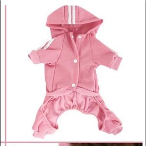 Cute dog sweatsuit 🐶